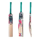CA-Gold-3000-Cricket-Bat-1.webp