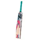 CA-Gold-3000-Cricket-Bat-3.webp